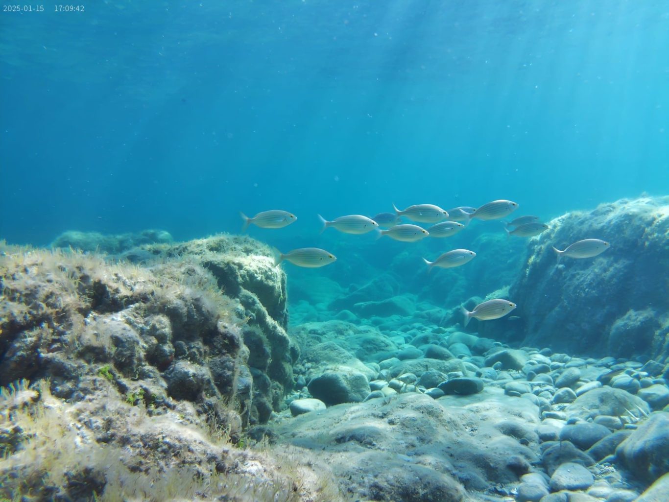 Plage de Capizzolu - Une eau très claire Plage de Capizzolu - Une eau très claire